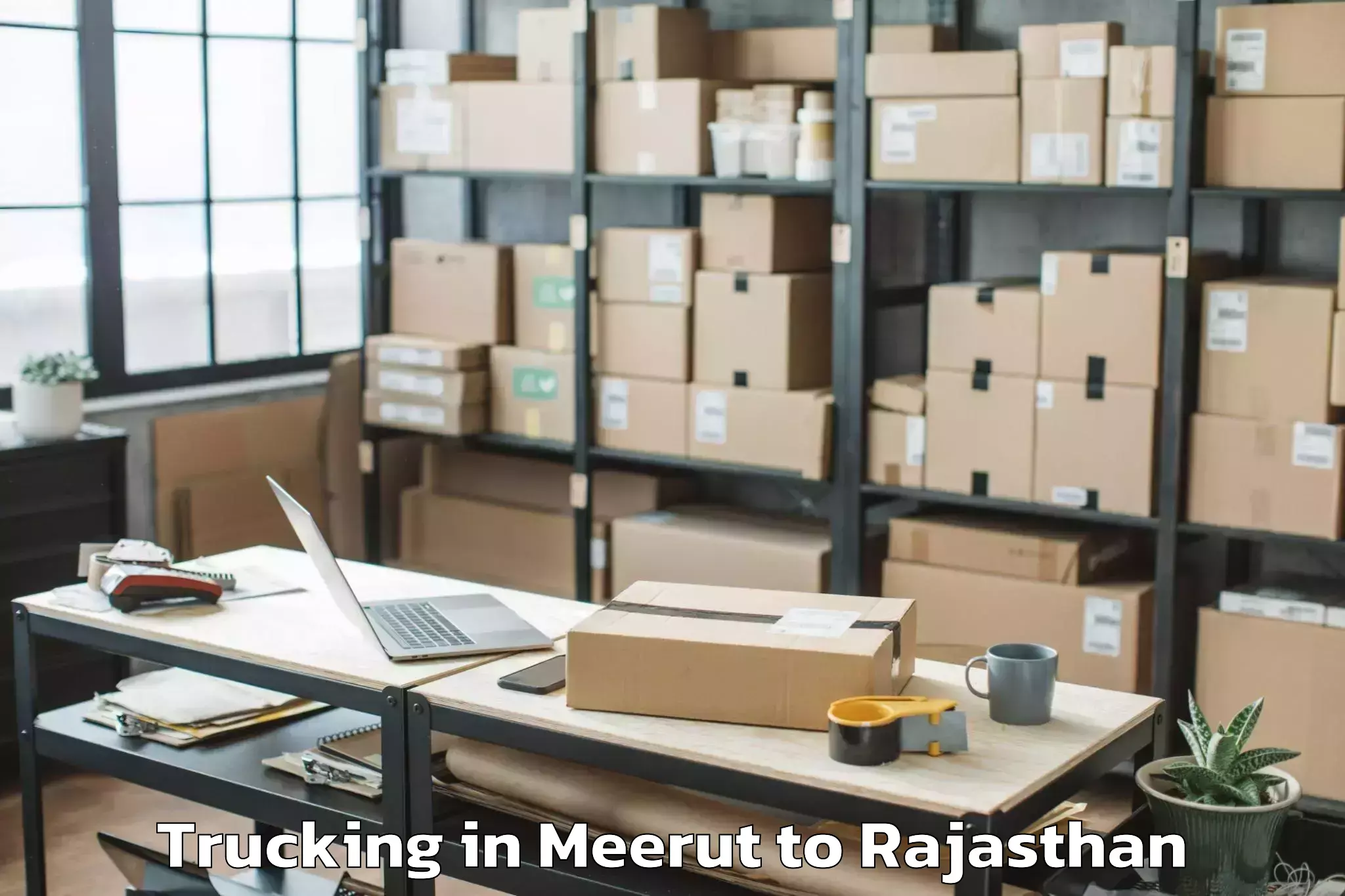 Top Meerut to Janardan Rai Nagar Rajasthan V Trucking Available